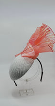 Load image into Gallery viewer, Item 286 - Coral
